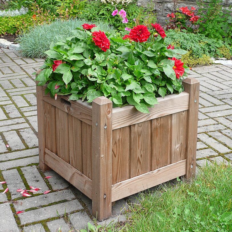 taimekast bf01019 | Baltic Fence